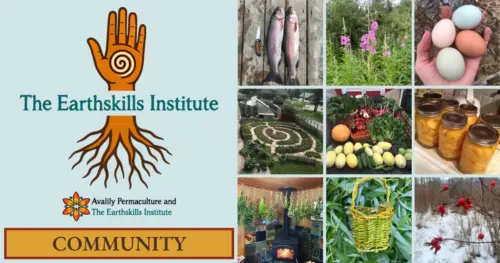 The Earthskills Institute Community